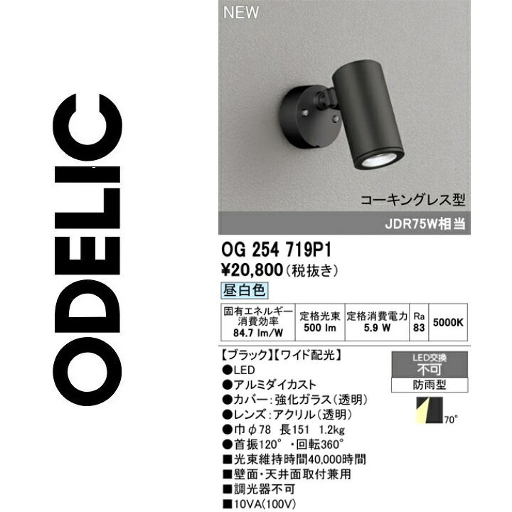 オーデリック OG254719P1 LED注目の的 Σ