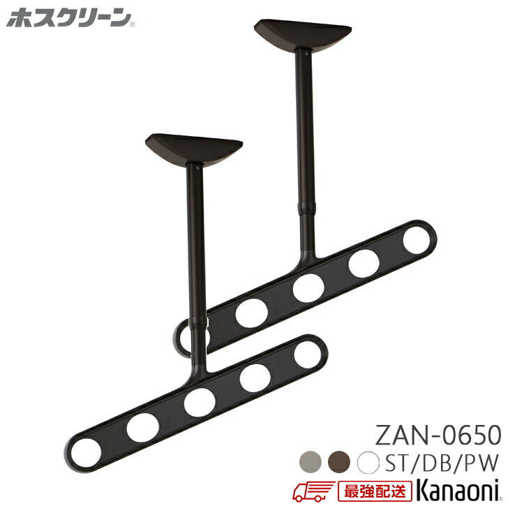 三角江技研 ホスクリーン ZAN-0650 木下地用取り付き一部分付 軒天用 2本入り口・入口 物干し 露天用