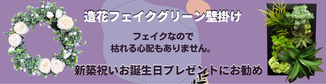 楽天市場】お好みの苔 組合わせパック ホソバオキナゴケ ヒノキゴケ シッポゴケ シノブゴケ アラハオキナゴケ スナゴケ テラリウム コケリウム  苔テラリウム アクアリウム 観葉植物 園芸 植木鉢 苔盆栽 : テラリウムインテリアtakara