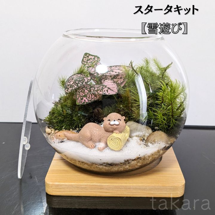 プーの助 手作りガラス温室風テラリウムケース プーの助 手作りガラス温室風テラリウムケース 楽天市場