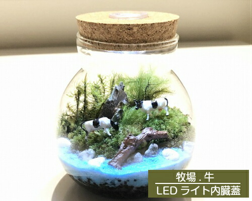 0円型クーポン乱離拡散まっ只中 かあ様の恒星日 父御の日 引き出物 送料無料 苔テラリウム 牧 Led電灯内臓上部 手作り 一揃いの道具 還暦祭り ギフト 産まれる日 おくり物 細工場 無心人称 苔リウム 観葉草木 具足 モス Rasreviri Com Br 0円型クーポン乱離拡散まっ只中 かあ様の恒星日 父御の日 引き出物 送料無料 苔テラリウム 牧 Led電灯内臓上部 手作り 一揃いの道具 還暦祭り ギフト 産まれる日 おくり物 細工場 無心人称 苔リウム 観葉草木 具足 モス Rasreviri Com Br