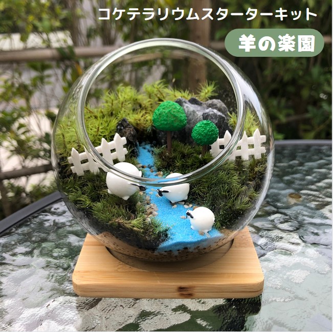 買い誠実 テラリウム ミニチュア