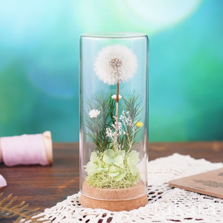 楽天市場】【ふるさと納税】たんぽぽガラスドーム・たんぽぽ畑(1点