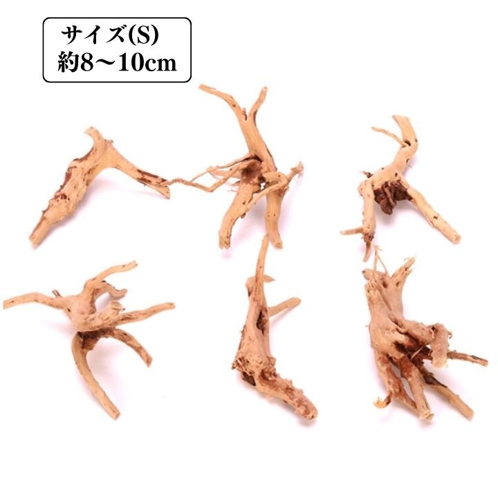 装飾用最高級流木★マングローブ系プレミアム 楽天市場】プレミアム流木 マングローブ系 形状お任せ