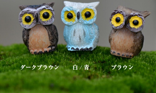 ふくろう 梟 お買い得個 四つ足 鶏 テラリウム図形 ミニフィギュア 蘚テラリウム Nobhillmusic Com