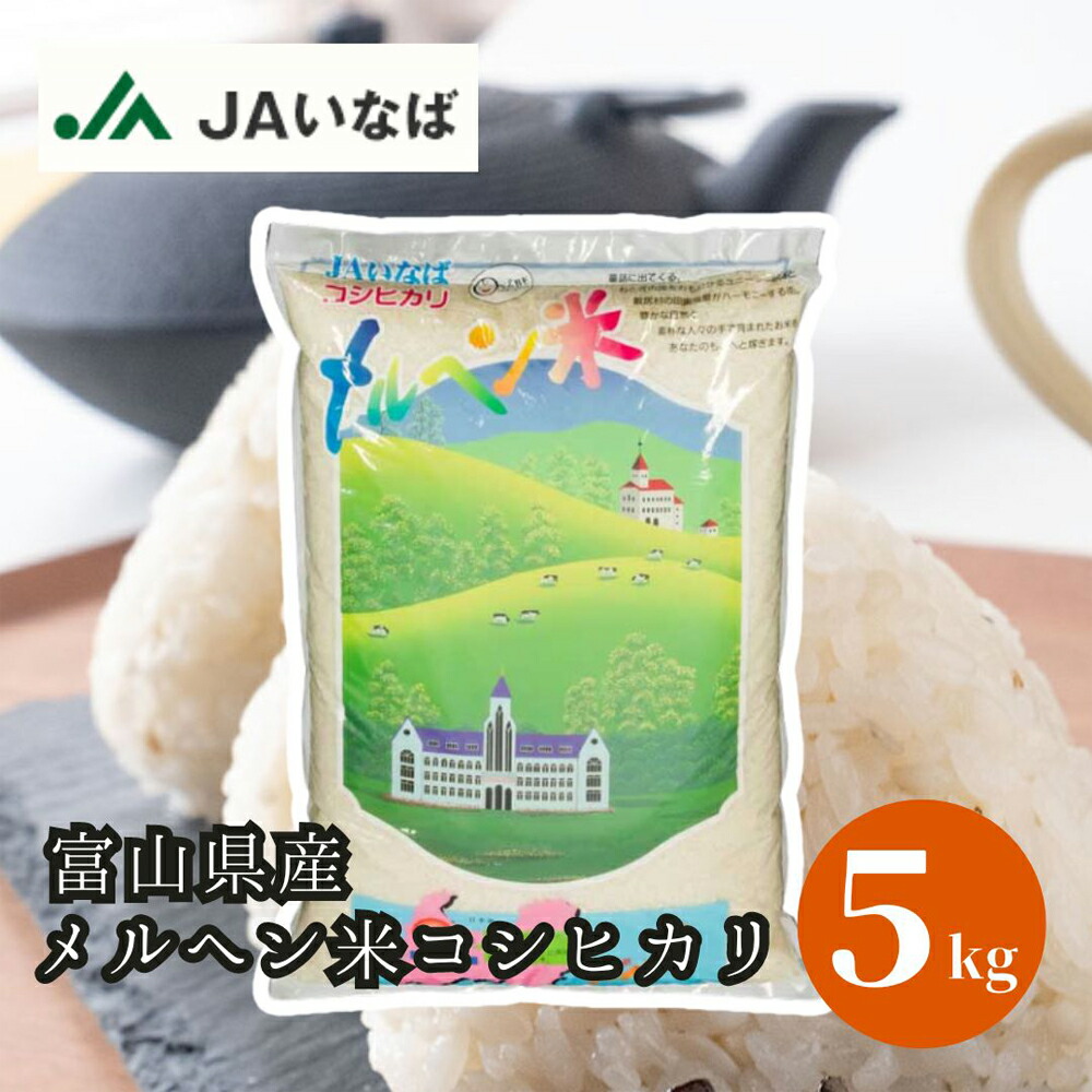 シュナ　コシヒカリ精米10kgリピ 令和6年度産 コシヒカリ精米10kg | JAくろべ