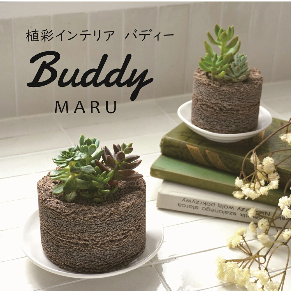 楽天市場】≪トーケン≫Buddy MARU（マル） Sサイズ【植彩