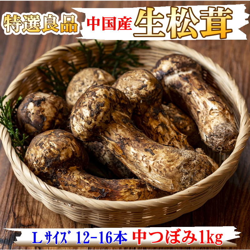 中国産 松茸 約1kg まつたけ マツタケ 野菜