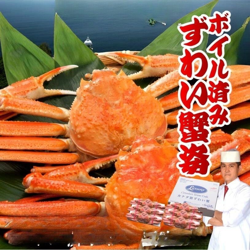 特大ボイル済 ズワイガニ 姿 約3kg 特大500ｇ前後　6杯入り ミソ カニしゃぶ ずわいがに 蟹 ずわい蟹 かに鍋 ギフト お中元 お歳暮 あす楽 【金沢まいもん寿司】