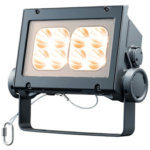 岩崎電気 LED レディオックフラッドネオ 電球色タイプ 狭角タイプ 80クラス 2700K相当 本体色ダークグレイ ECF8040N/LSAN8/DG