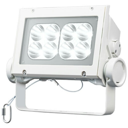 岩崎電気 LED レディオックフラッドネオ 昼白いこと印字機 狭角印字機 80位置付け 5000K好いかげんに 本体色白いこと ECF8040N/NSAN8/W