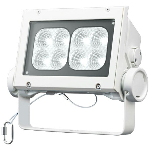 岩崎電気 LED レディオックフラッドネオ 昼白いこと印字機 中角印字機 80位置付け 5000K好いかげんに 本体色白いこと ECF8040M/NSAN8/W