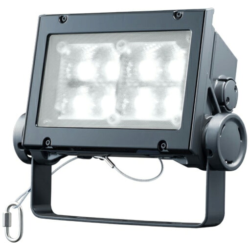 岩崎電気 LED レディオックフラッドネオ 昼白いこと印字機 広角印字機 80位置付け 5000K好いかげんに 本体色まっ黒い薄墨色 ECF8040W/NSAN8/DG