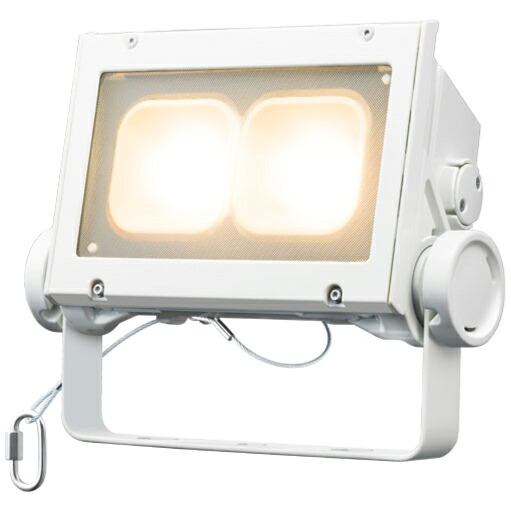 岩崎電気 LED レディオックフラッドネオ 白熱電球色印字機 超広角印字機 80位置付け 2700K好いかげんに 本体色白いこと ECF8040SW/LSAN8/W