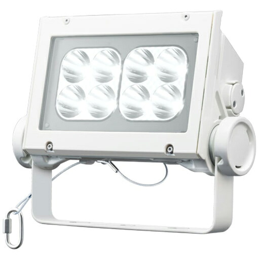 岩崎電気 LED レディオックフラッドネオ 昼白色タイプ 狭角タイプ 60クラス 5000K相当 本体色ホワイト ECF6040N/NSAN8/W