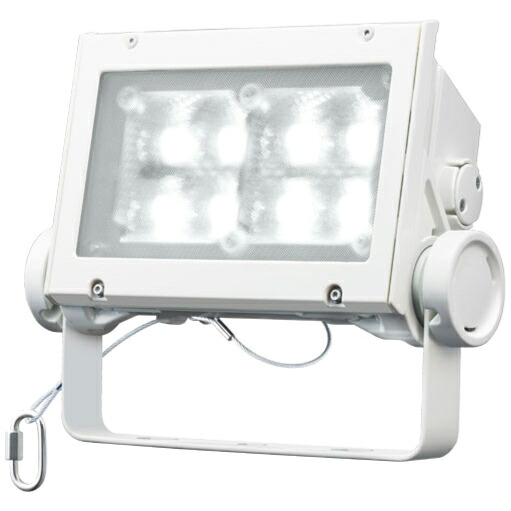 岩崎電気 LED レディオックフラッドネオ 白色タイプ 広角タイプ 60クラス 5000K相当 本体色ホワイト ECF6040W/NSAN8/W