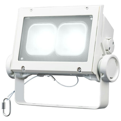 岩崎電気 LED レディオックフラッドネオ 白色タイプ 超広角タイプ 60クラス 5000K相当 本体色ホワイト ECF6040SW/NSAN8/W