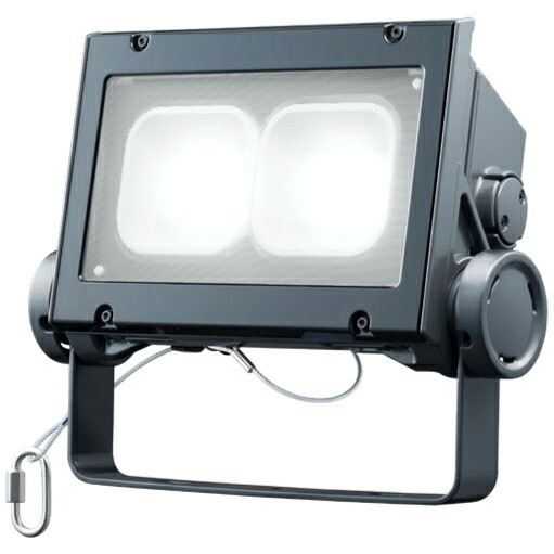 岩崎電気 LED レディオックフラッドネオ 昼白色タイプ 超広角タイプ 60クラス 5000K相当 本体色ダークグレイ ECF6040SW/NSAN8/DG 36,115円