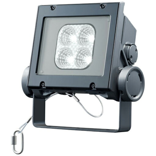岩崎電気 LED レディオックフラッドネオ 昼白色タイプ 中角タイプ 40クラス 5000K相当 本体色ダークグレイ ECF4040M/NSAN8/DG