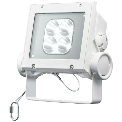 岩崎電気 LED レディオックフラッドネオ 昼白色タイプ 狭角タイプ 20クラス 5000K相当 本体色ホワイト ECF2040N/NSAN8/W