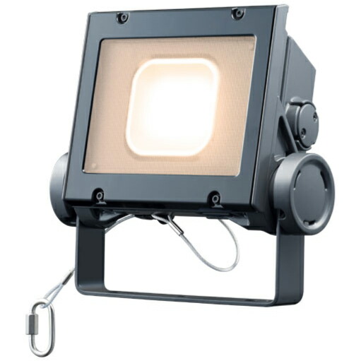 岩崎電気 LED レディオックフラッドネオ 電球色タイプ 超広角タイプ 20クラス 2700K相当 本体色ダークグレイ ECF2040SW/LSAN8/DG