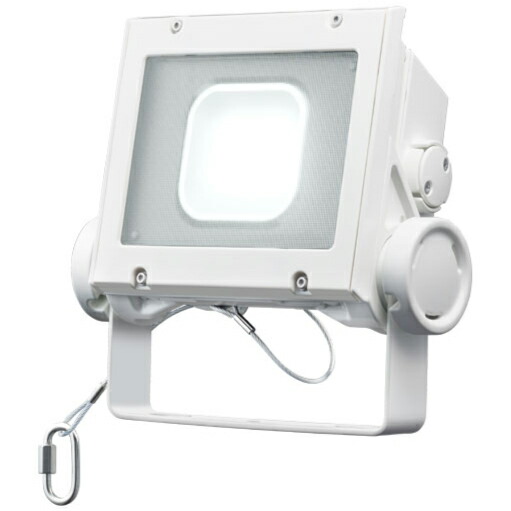 岩崎電気 LED レディオックフラッドネオ 昼白色タイプ 超広角タイプ 20クラス 5000K相当 本体色ホワイト ECF2040SW/NSAN8/W