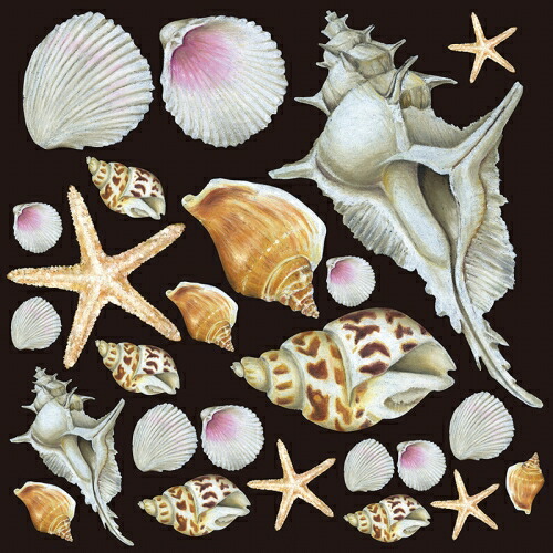 楽天市場 シール ヒトデ 貝殻 巻貝 装飾 デコレーションシール チョークアート 窓ガラス 黒板 看板 Pop ステッカー 最低購入数量3枚 看板ショップ