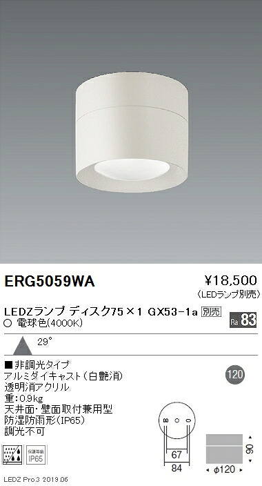 【遠藤照明】【endo照明】 アウトドアライト 軒下用シーリングダウンライト 本体 Disk75 ERG5059WA ※ランプ別売