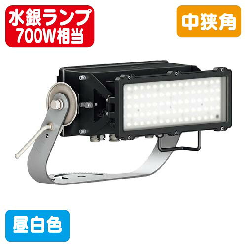 【岩崎電気】【写真用照明】【LED写真用照明】E37301MN/NSAJ8 レディオック フラッド アヴァン 150位置付け (マーキュリー照明ランプ700W好いかげんに) 中狭角 昼白いこと