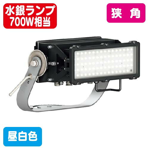 【岩崎電気】【写真用照明】【LED写真用照明】E37301M/NSAJ8 レディオック フラッド アヴァン 150位置付け (マーキュリー照明ランプ700W好いかげんに) 中角 昼白いこと