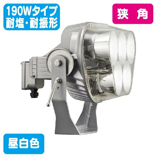 【岩崎電気】【写真用照明】【LED写真用照明】 E31122N/NSAN2 レディオック フラッド ブリッツ 190W手合い 耐塩形+耐振形 狭角手合い