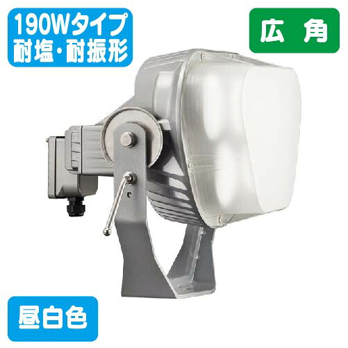 【岩崎電気】【写真用照明】【LED写真用照明】 E31122W/NSAN2 レディオック フラッド ブリッツ 190W手合い 耐塩形+耐振形 広角手合い
