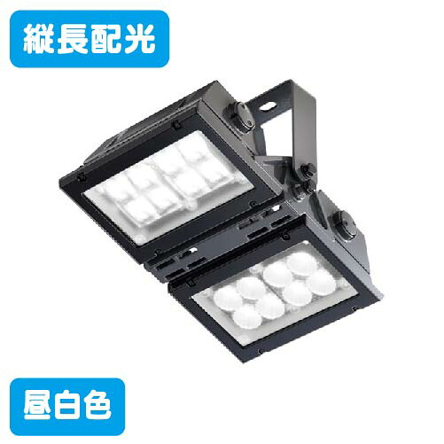【岩崎電気】【投光器】【LED投光器】ECF17101/SAN8/DG レディオック フラッド アーバンビュー 縦長配光タイプ 昼白色 ダークグレイ