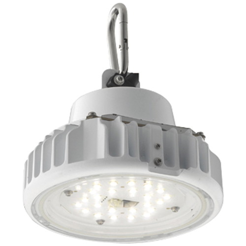 【岩崎電気】【高天井照明】【高天井led】EQCL1003CSA9A 高天井用照明 レディオック シーリング低温対応形 25Wタイプ (高圧ナトリウムランプ用器具代替品) 吊下形