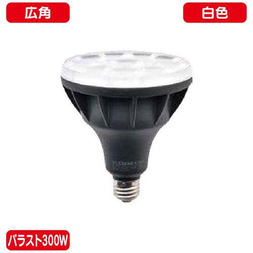 【ニッケンハードウェア】【LED投光器】【ビューランプ】 VLE39WD-C/BK 黒 【バラスト300W LEDランプ】【白色 広角】