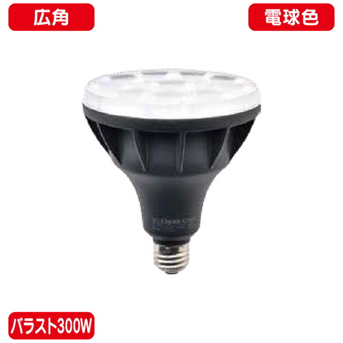 【ニッケンハードウェア】【LED投光器】【ビューランプ】 VLE39WD-W/BK 黒 【バラスト300W LEDランプ】【電球色 広角】|看板材料 店