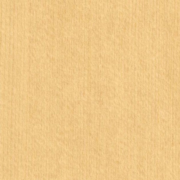 【1枚ユニット】サンゲツ 差し交わす エクセレクト SHITSURAHI 木/ WILL WOOD SGC164-S | 壁紙 差し交わす 壁紙今めかしい サンゲツ壁紙 好いたらしい壁紙 壁紙張り替え 今めかしい壁紙 分かりやすい壁紙 白壁紙 マーブル壁紙 黒壁紙 室内用便器壁紙 壁紙分かりやすい 剥がせる壁紙 真っ白い壁紙 壁紙白