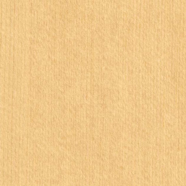 【1枚ユニット】サンゲツ 差し交わす エクセレクト SHITSURAHI 木/ WILL WOOD SGC164-L | 壁紙 差し交わす 壁紙今めかしい サンゲツ壁紙 好いたらしい壁紙 壁紙張り替え 今めかしい壁紙 分かりやすい壁紙 白壁紙 マーブル壁紙 黒壁紙 室内用便器壁紙 壁紙分かりやすい 剥がせる壁紙 真っ白い壁紙 壁紙白