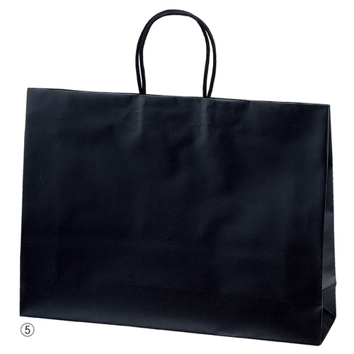 手提げ紙袋マットバッグ ブラック 22×12×22cm kp38-314-11-6