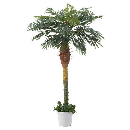 店舗用品 演出用品 デラックスパームツリー 180cm パームツリー 販促用品 店舗用品 展示会 イベント ディスプレイ 陳列什器 運営備品 バックヤード備品 POP 演出用品 店舗什器 通販 カタログ
