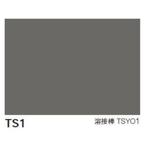 【長尺シート】【塩ビシート】【ビニル床シート】 東リ ビニル床シート TMフロア TS1【1m単位での購入可】| 松山バレエ団と共同開発した舞台用ビニル床シート。クッション性と適度な硬さが特長。｜看板材料　店 8,975円
