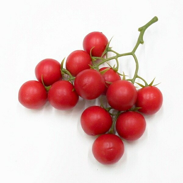 楽天市場 造花 トマト ミニトマトクラスター フェイクフード 食品サンプル フラワーデコレーション ハセガワ