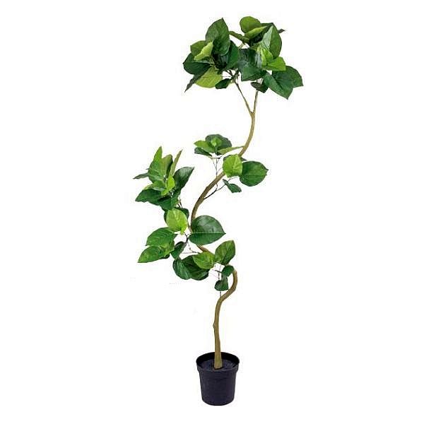 人工観葉植物 ウンベラータ 200cm（インテリアグリーン・フェイクグリーン・フェイクプラント・擬木・鉢植え）｜フラワーデコレーション　ハセガワ 32,760円