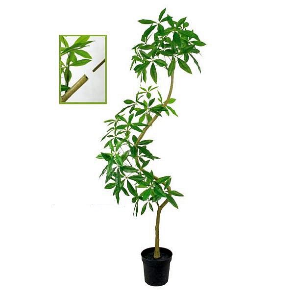 楽天市場】人工観葉植物 ツイストアルテシマ 120cm（インテリア