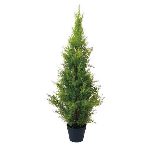 人工観葉植物 ゴールドクレスト 120cm（インテリア 造花・フェイクグリーン・フェイクプラント）｜フラワーデコレーション　ハセガワ