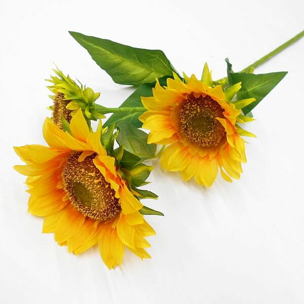 ヒマワリ 楽天市場】ヒマワリ 造花 花径21cm（リアル造花 ひまわり・サン