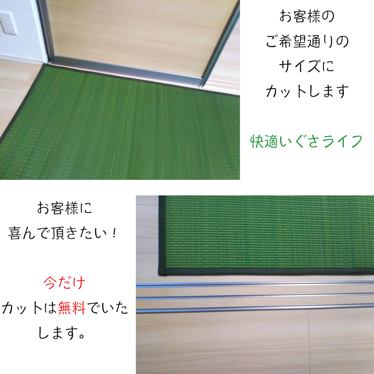 楽天市場 カラーい草 オーダーカット オーダーサイズ カット 置き畳 ユニット畳 国産 い草 上敷き カーペット ラグ フローリング サイズ調整 リビング ダイニング 布団 赤ちゃん オススメ 和モダン おしゃれ 送料無料 クッションフロア 床暖房対応 ラグマット ジョイント