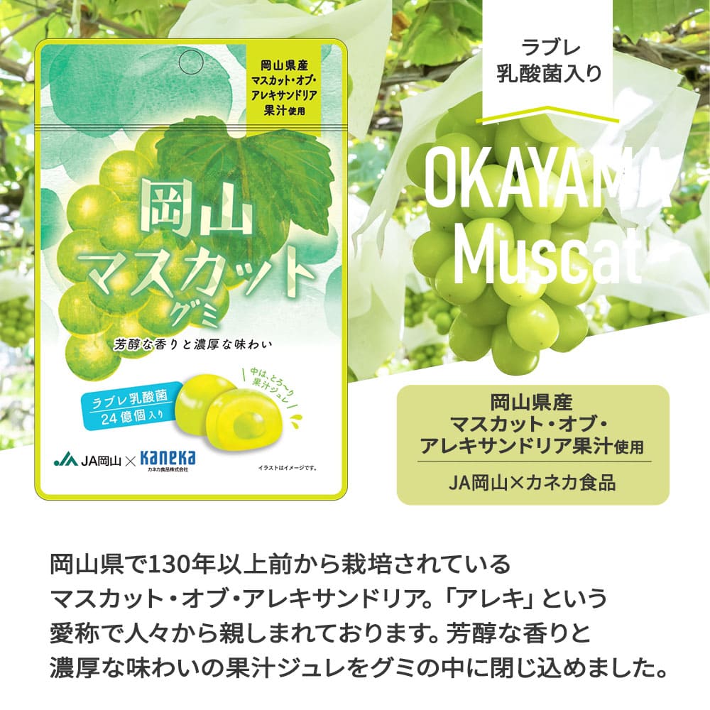 公式】グミ ラブレ乳酸菌入り ご当地 果実 アソート 30袋 セット