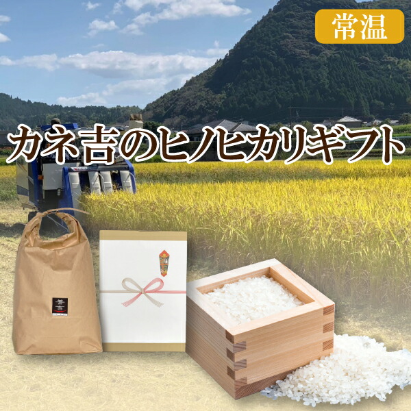 Reggae 12インチ インストアルバム Harold Butler “Af