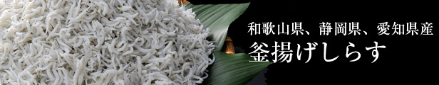 楽天市場】かまあげしらす１ｋｇ×２ 愛知県篠島産 大きいサイズ 訳あり : 京の魚河岸『かねきゅう』